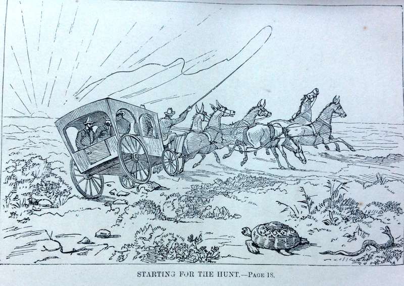 Six Months at the Cape - R M Ballantyne - Hardcover      Letters to Periwinkle from South Africa