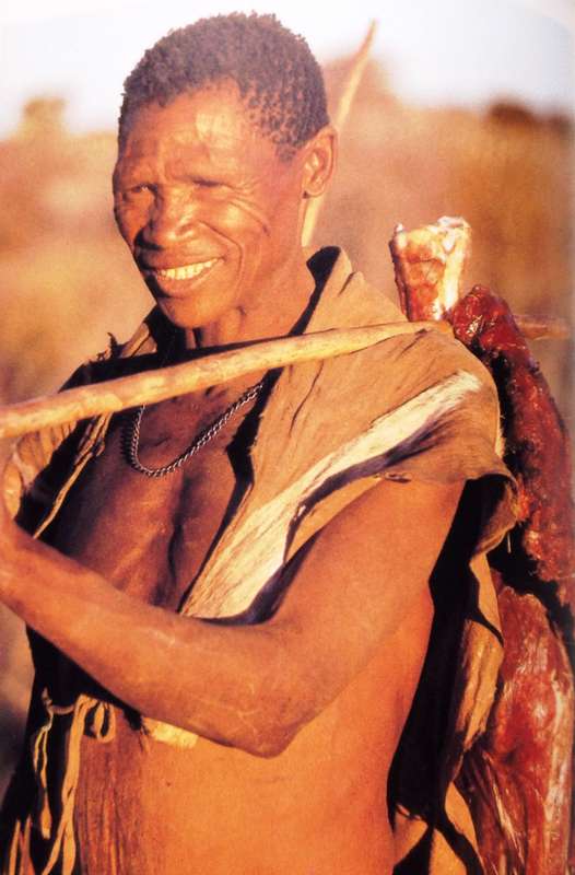 The Kalahari Bushmen - H P Steyn     Hardcover