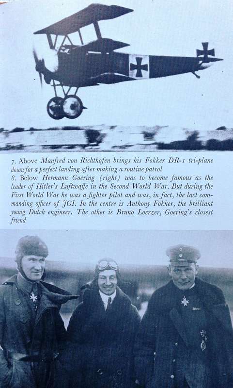 The Red Baron - Nicolas Wright - Hardcover