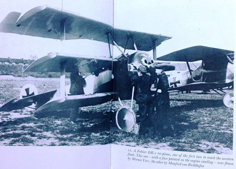 The Red Baron - Nicolas Wright - Hardcover