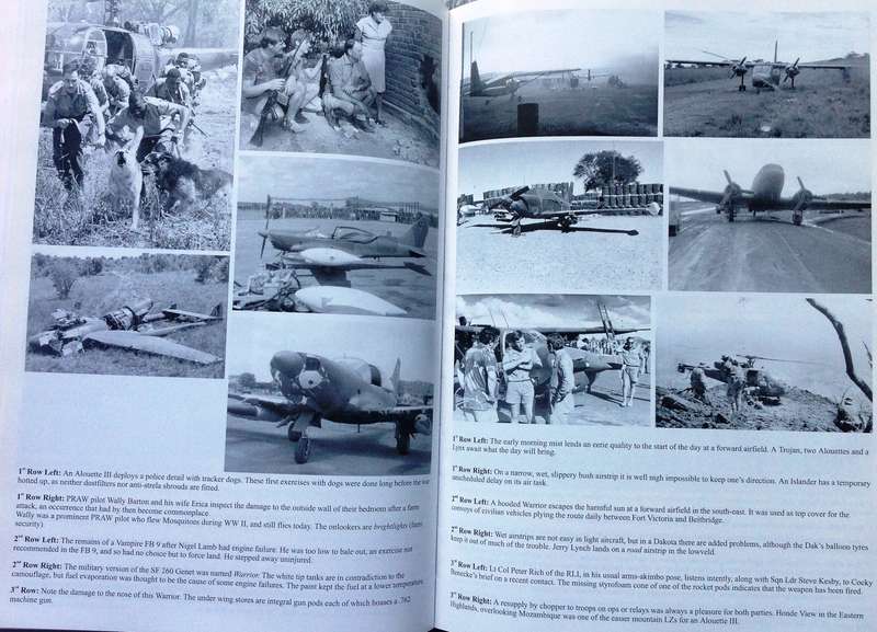 A Pride of Eagles - Beryl Salt - Hardcover
