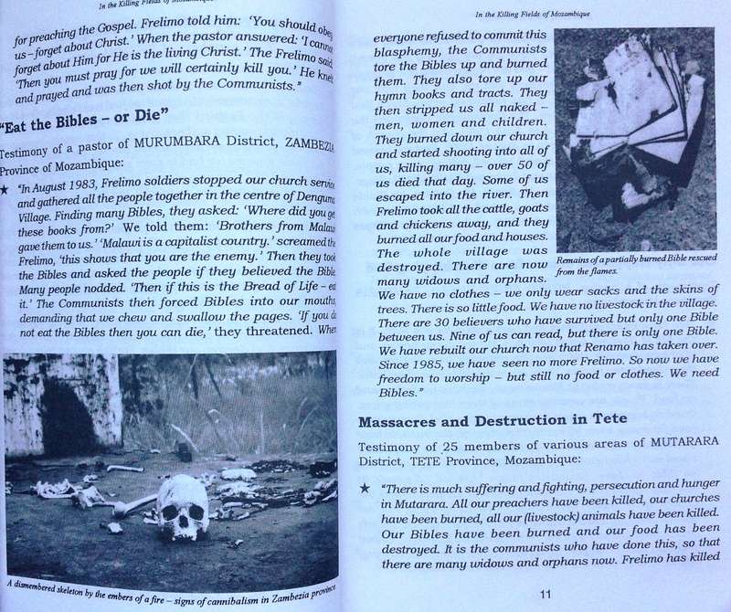 In the Killing Fields of Mozambique - Peter Hammond