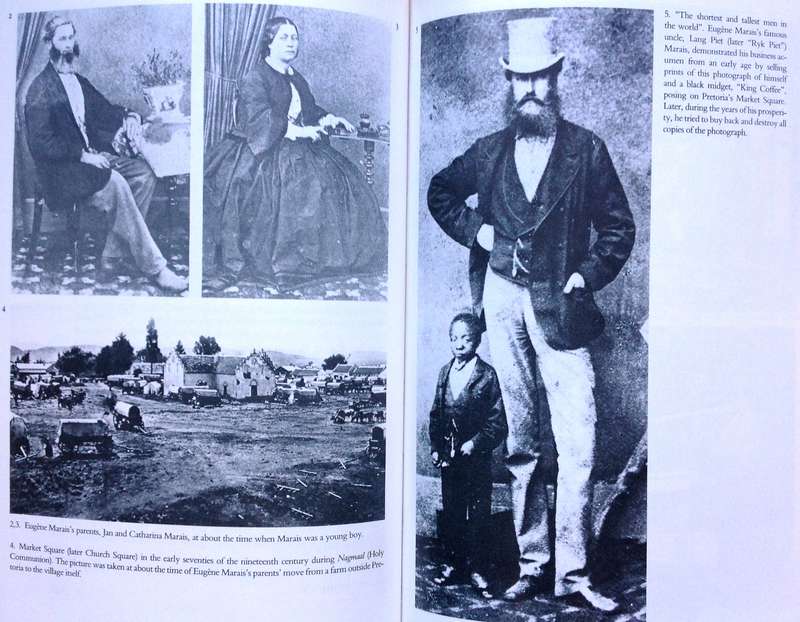 The Dark Stream - The Story of Eugene N Marais - Leon Rousseau - Hardcover