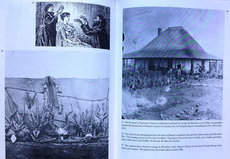 The Dark Stream - The Story of Eugene N Marais - Leon Rousseau - Hardcover