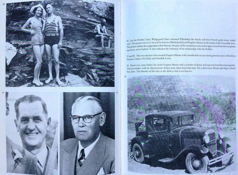 The Dark Stream - The Story of Eugene N Marais - Leon Rousseau - Hardcover