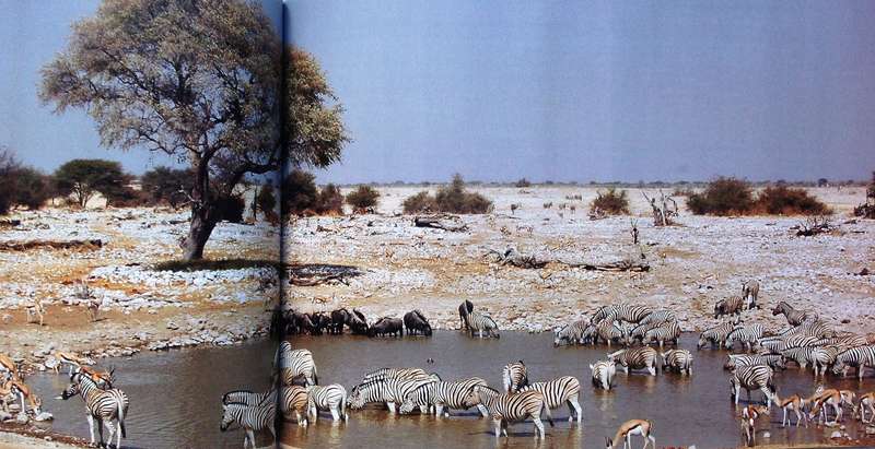 A Journey in Verse in Namibia - Audrey Salvage    Book signed by Author