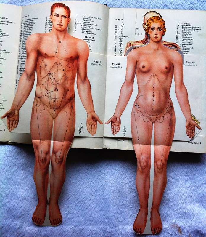 Die Afrikaanse Huisdokter - Volledige Stel van 3 Boeke - Dr H K Wagner - Hardeband