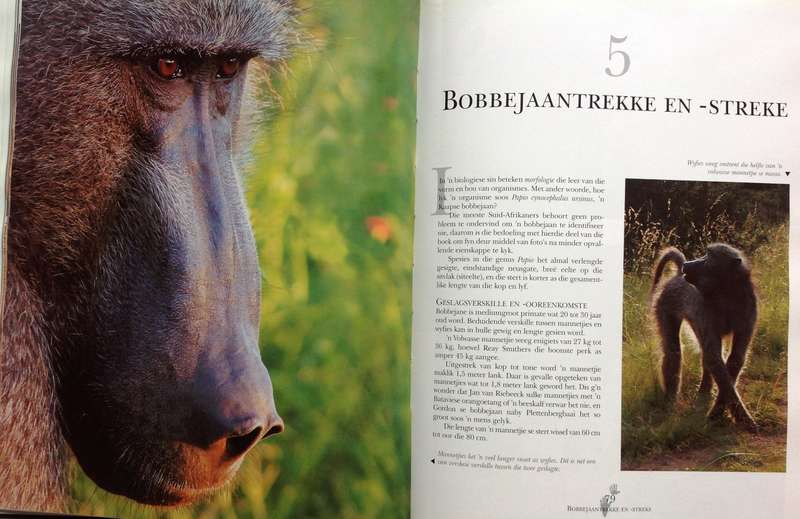 BOGOM - Attie Gerber - Hardeband