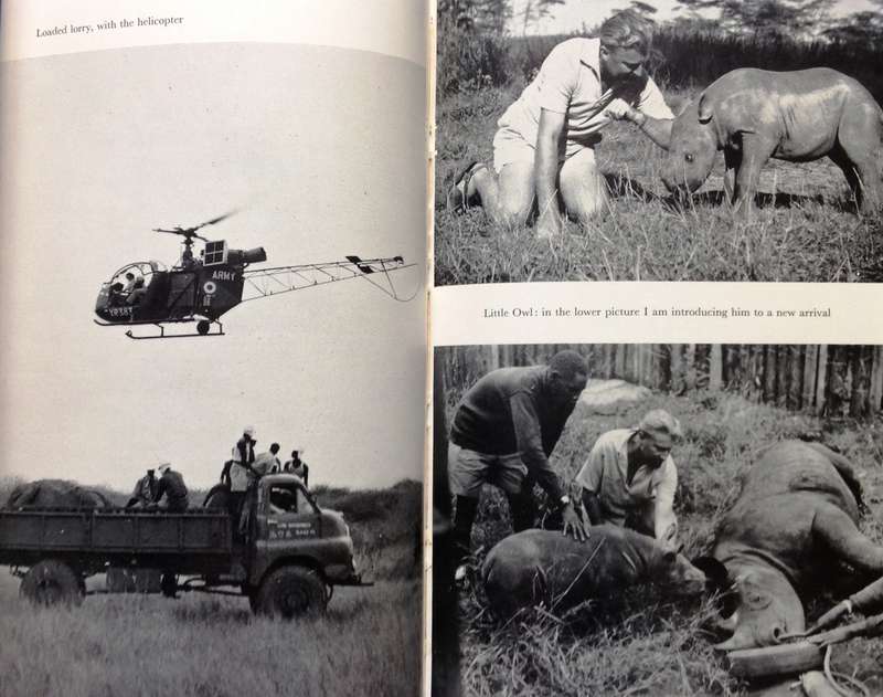 The Arm'd Rhinoceros-Nick Carter-Hardcover  Book signed by Author, Knysna 1973 - "Carter the Darter"