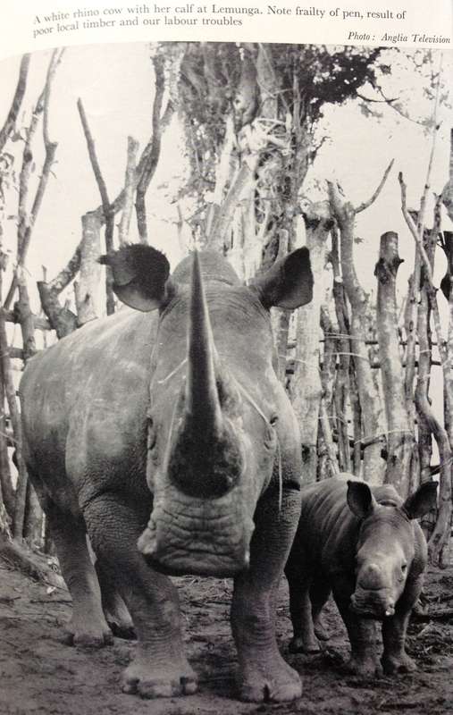 The Arm'd Rhinoceros-Nick Carter-Hardcover  Book signed by Author, Knysna 1973 - "Carter the Darter"