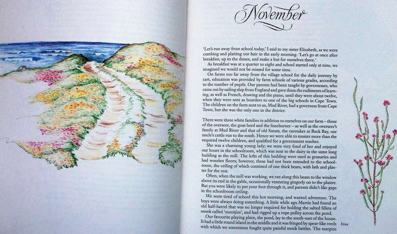 GANZEKRAAL - A West Coast Year - Mary Melck Kuttel - Illustrated by Frances Kuttel Keegan-Hardcover