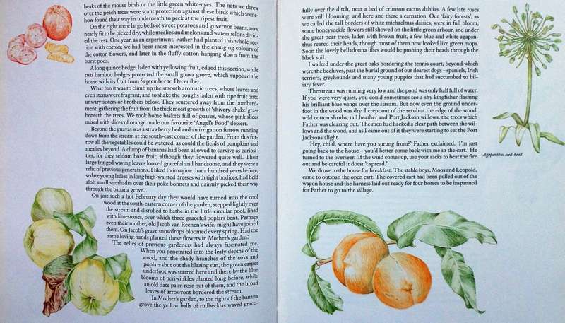 GANZEKRAAL - A West Coast Year - Mary Melck Kuttel - Illustrated by Frances Kuttel Keegan-Hardcover