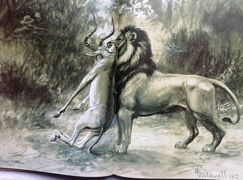 The Conservationists and the Killers - John A Pringle - Hardcover - Book signed by Author