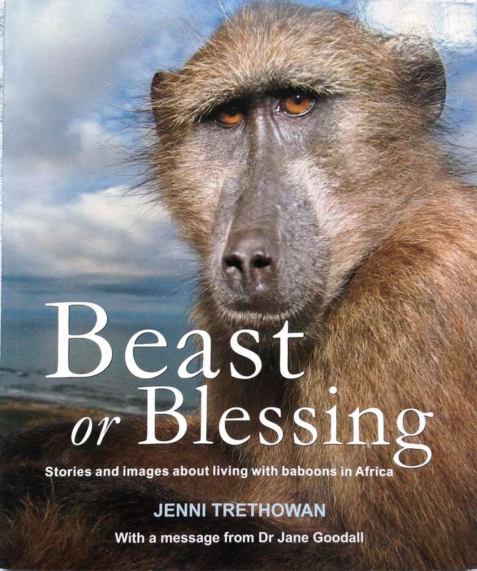 Beast or Blessing - Jenni Trethowan