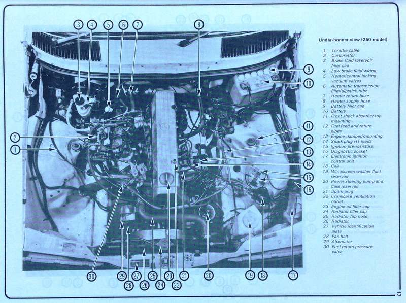 Mercedes-Benz 250 & 280 - 123 Series - October 1976 to 1984 - All models - 2525cc and 2746cc