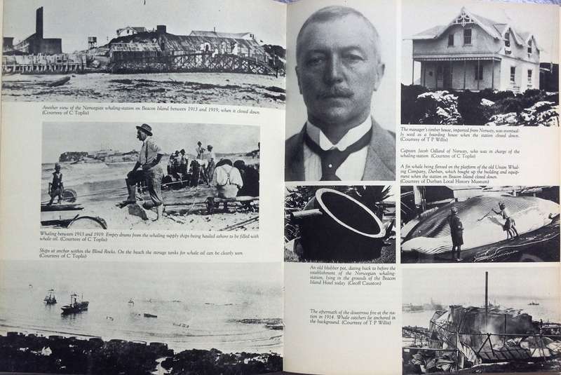 Portrait of Plettenberg Bay - Patricia Storrar - Hardcover    Book signed by Author