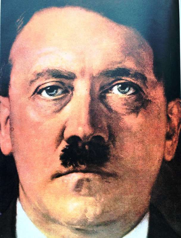 The Illustrated Hitler Diary - 1917 to 1945 - Hardcover