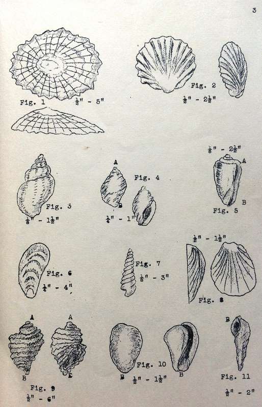 Skulpwerk - N S S - Skulpwerk, Posbus 144, Graaff-Reinet