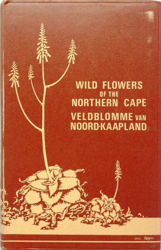 Wild Flowers of the Northern Cape - Veldblomme van Noord-Kaapland - Jill Adams - Hardcover