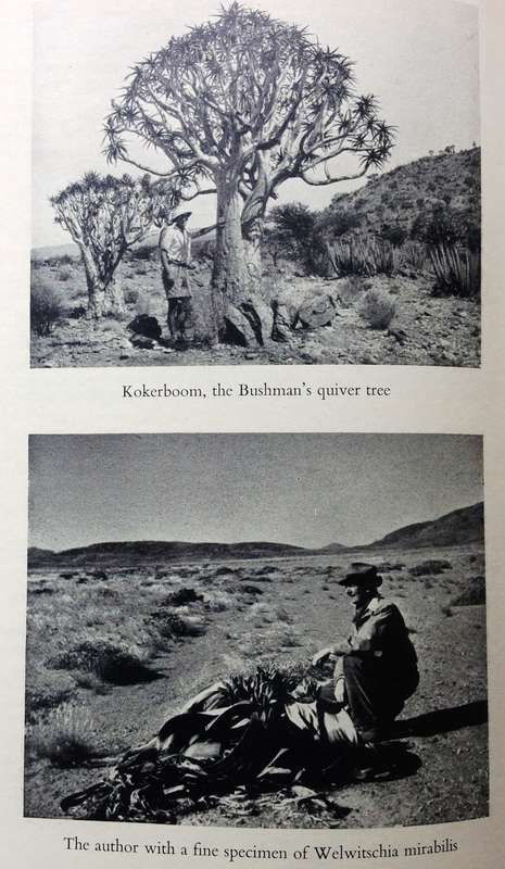 Lords of the Last Frontier - Lawrence G Green - Hardcover - The Story of South-West Africa