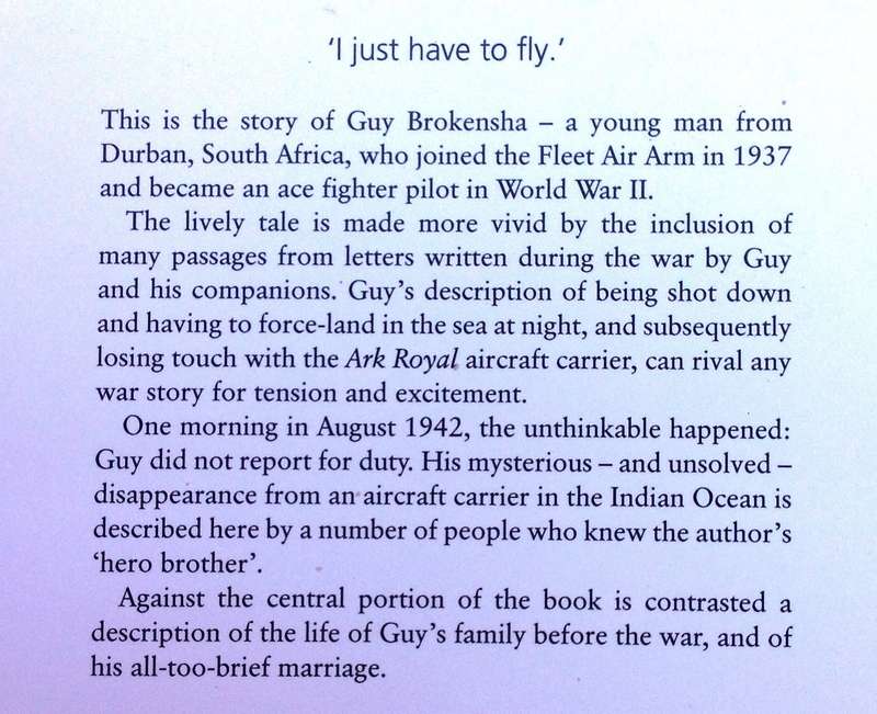 Guy's Story - David Brokensha