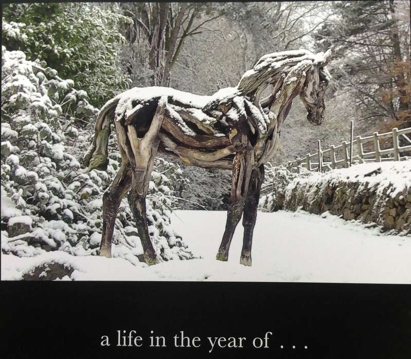 Heather Jansch's Diary - a year in the life of...Hardcover  Edited by Andy Christian