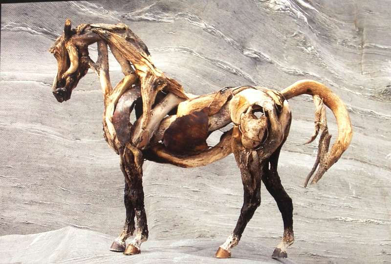 Heather Jansch's Diary - a year in the life of...Hardcover  Edited by Andy Christian
