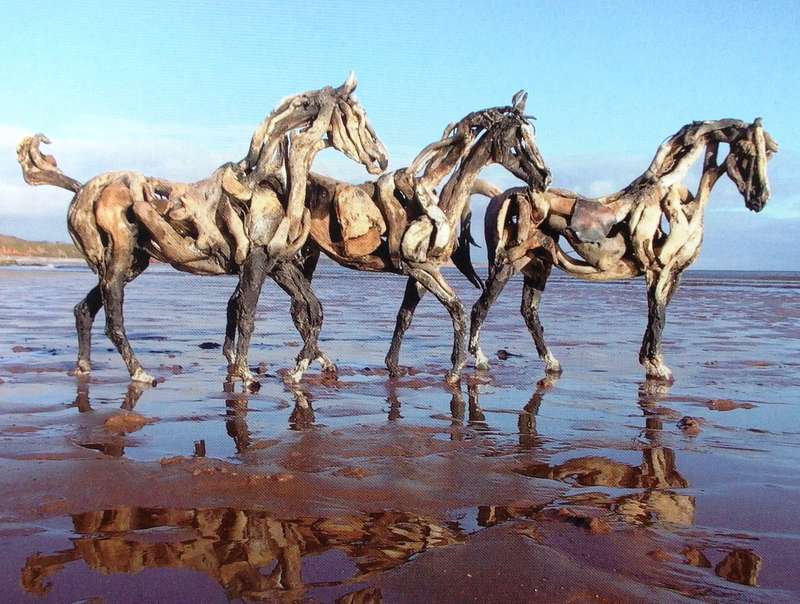 Heather Jansch's Diary - a year in the life of...Hardcover  Edited by Andy Christian
