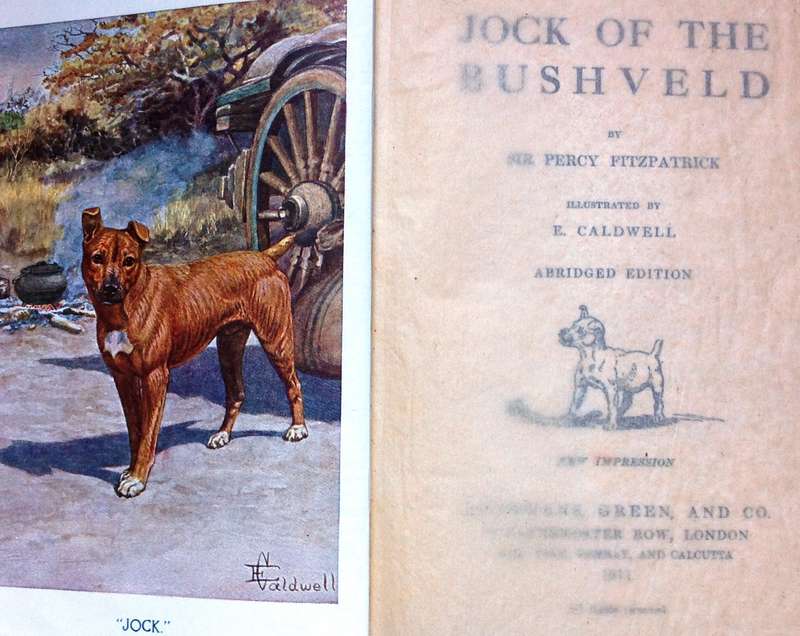 Jock of the Bushveld - Sir Percy Fitzpatrick - Hardcover