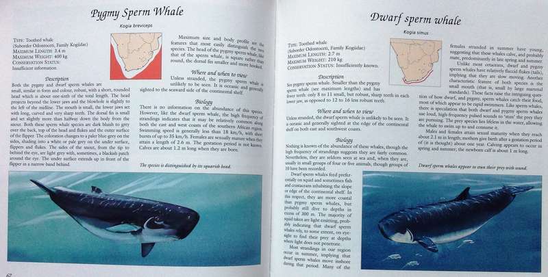 Whale Watch - Vic Cockcroft & Peter Joyce