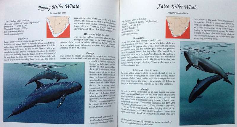 Whale Watch - Vic Cockcroft & Peter Joyce