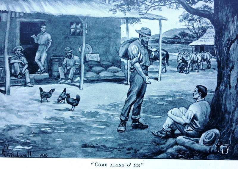 Jock of the Bushveld - Sir Percy Fitzpatrick - Hardcover