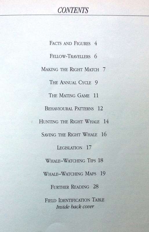 Whale watching in South Africa - Peter B Best - Illustrations by Noel Ashton