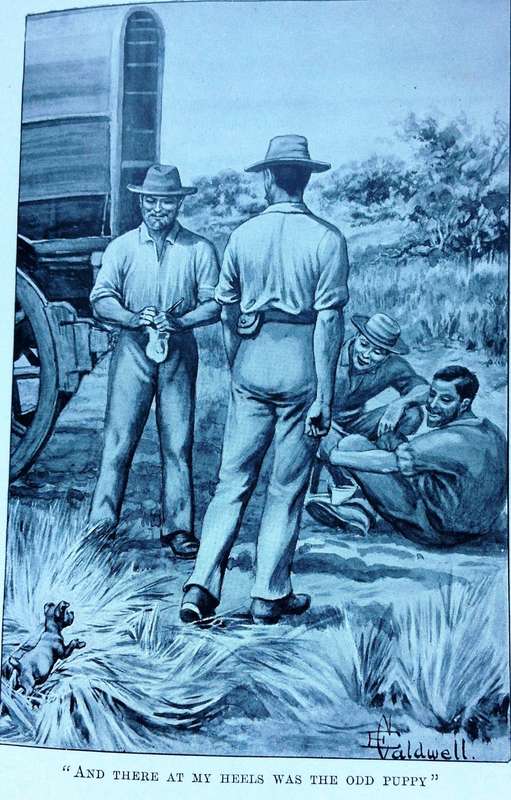 Jock of the Bushveld - Sir Percy Fitzpatrick - Hardcover