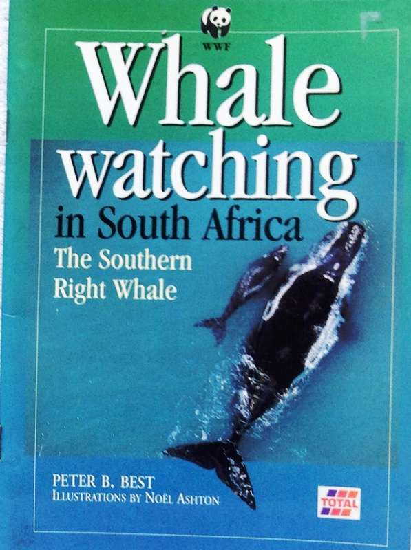 Whale watching in South Africa - Peter B Best - Illustrations by Noel Ashton