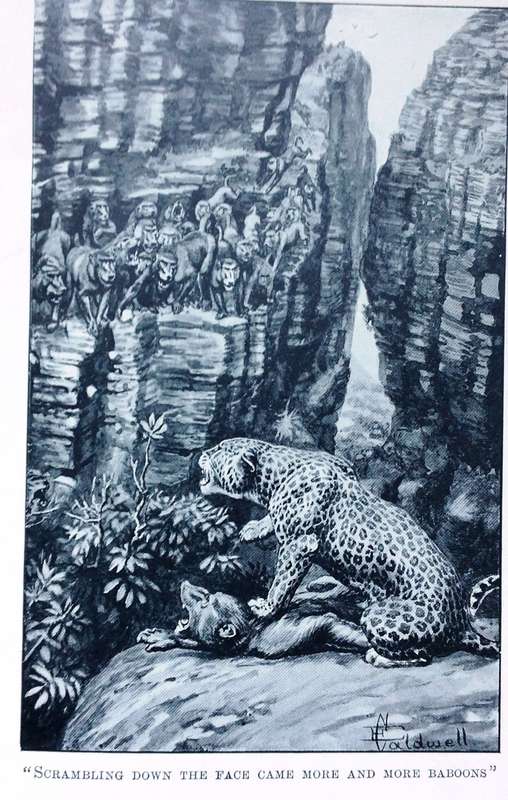 Jock of the Bushveld - Sir Percy Fitzpatrick - Hardcover