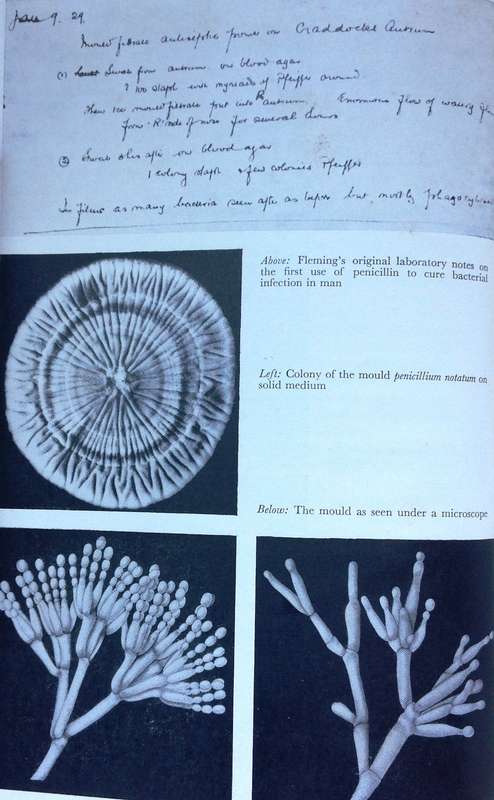The Life of Sir Alexander Fleming - discoverer of penicillin - Andre Maurois - Hardcover
