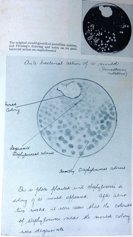 The Life of Sir Alexander Fleming - discoverer of penicillin - Andre Maurois - Hardcover