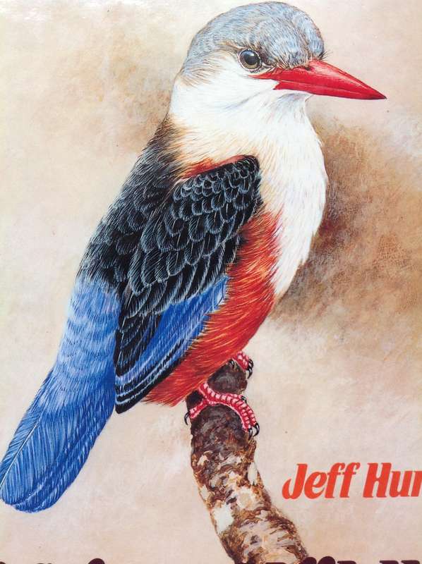 Jeff Huntly's African Wildlife Sketches - Hardcover