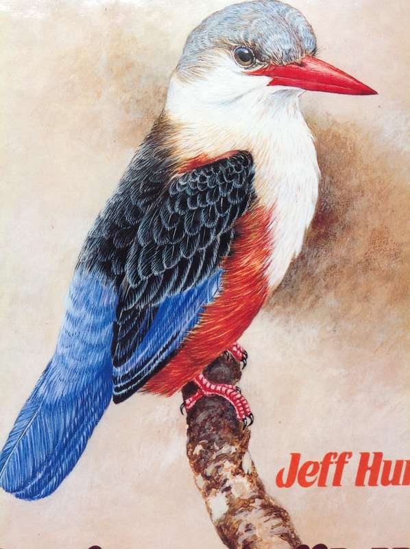 Jeff Huntly's African Wildlife Sketches - Hardcover
