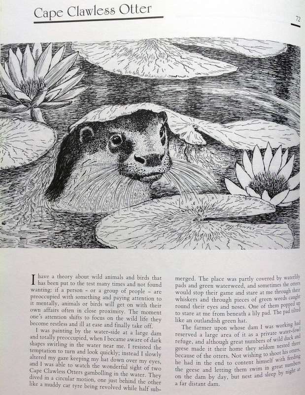 Jeff Huntly's African Wildlife Sketches - Hardcover