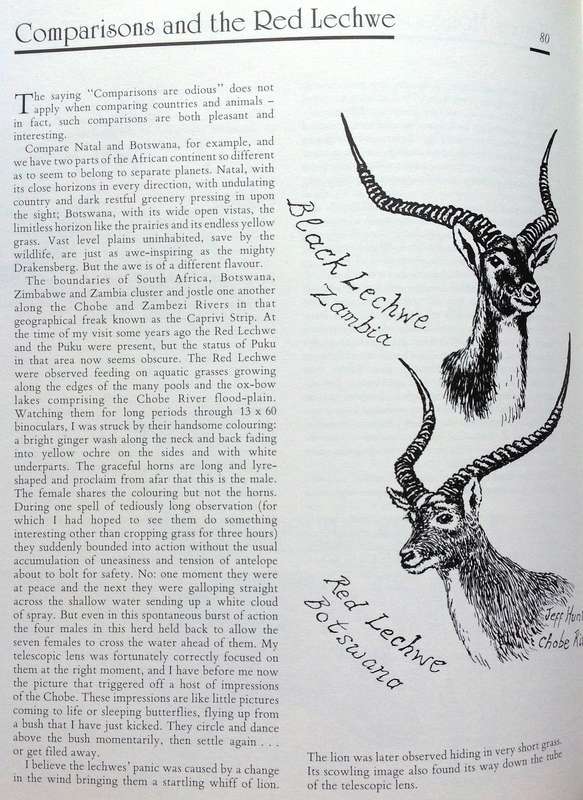 Jeff Huntly's African Wildlife Sketches - Hardcover