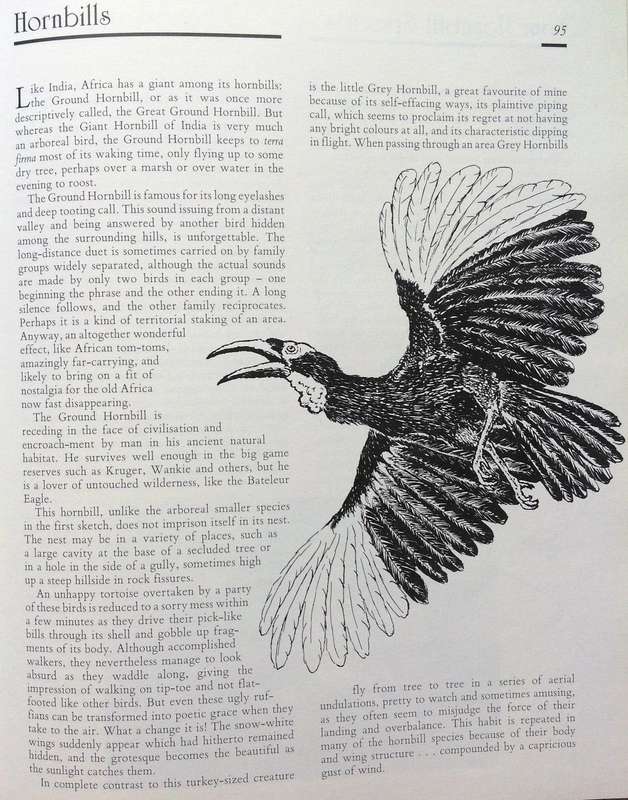 Jeff Huntly's African Wildlife Sketches - Hardcover