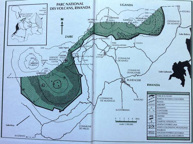 Woman in the Mists - The Story of Dian Fossey and the Mountain Gorillas of Africa - Mowat