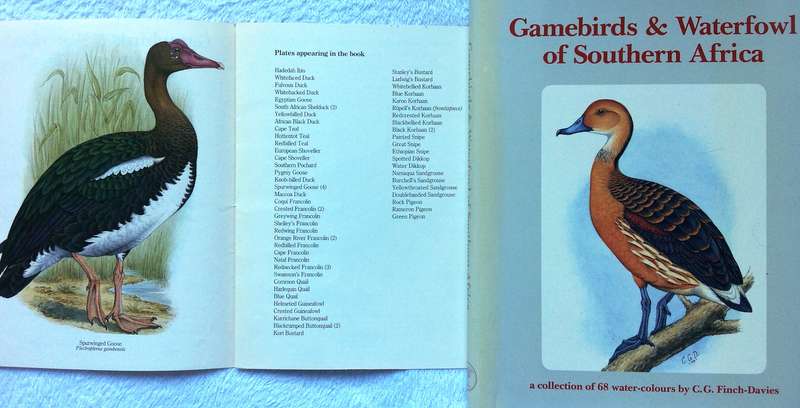 Gamebirds and Waterfowl of Southern Africa  A collection of 68 water-colours by C G Finch-Davies