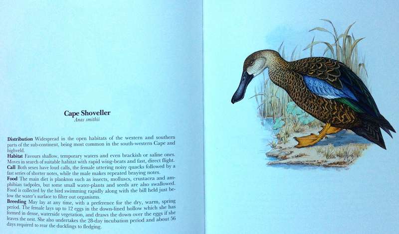 Gamebirds and Waterfowl of Southern Africa  A collection of 68 water-colours by C G Finch-Davies