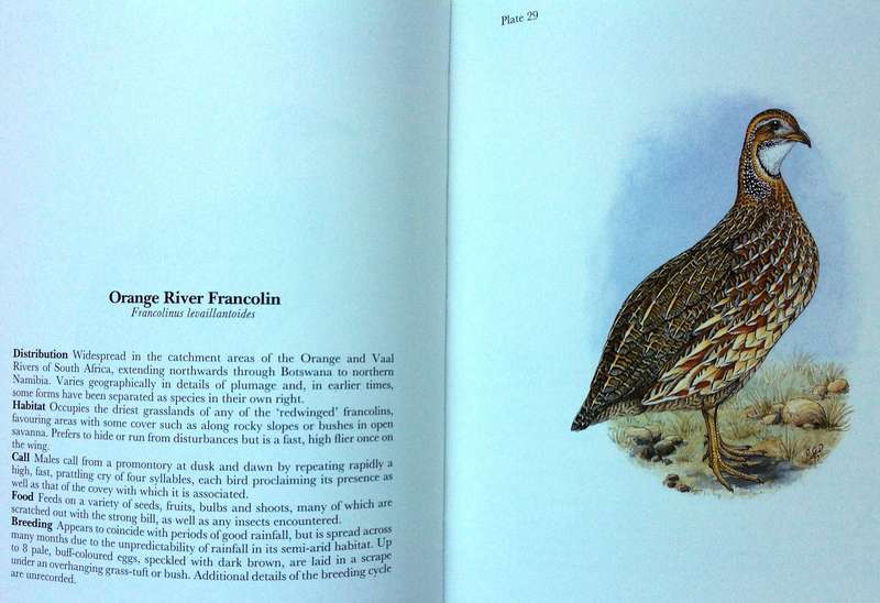 Gamebirds and Waterfowl of Southern Africa  A collection of 68 water-colours by C G Finch-Davies