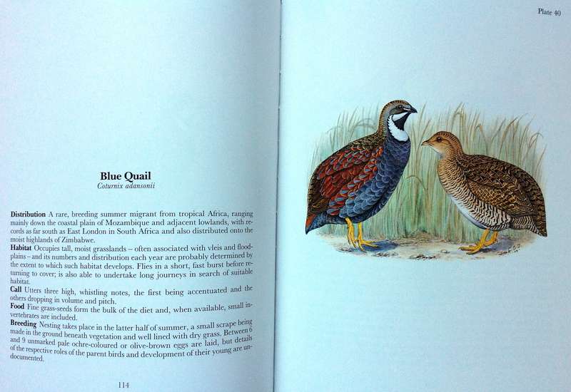 Gamebirds and Waterfowl of Southern Africa  A collection of 68 water-colours by C G Finch-Davies