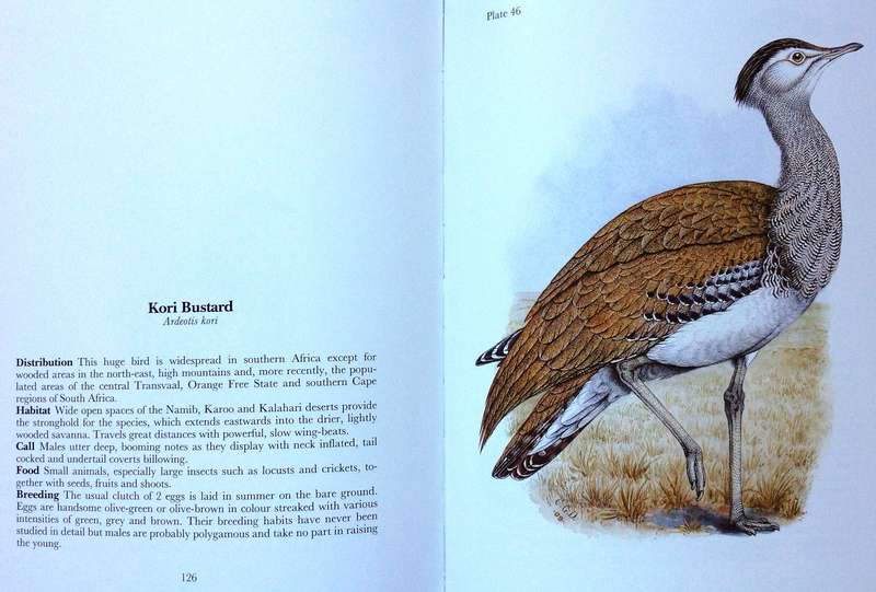 Gamebirds and Waterfowl of Southern Africa  A collection of 68 water-colours by C G Finch-Davies