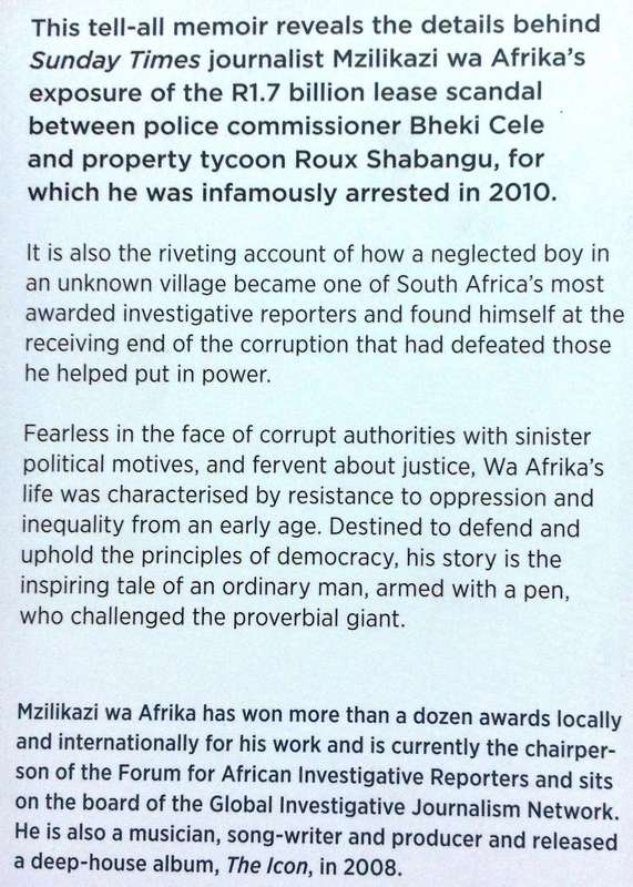 Nothing Left to Steal - Mzilikazi Wa Afrika - Jailed for Telling the Truth